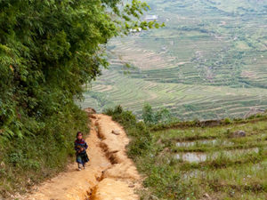 ベトナムの山岳風景